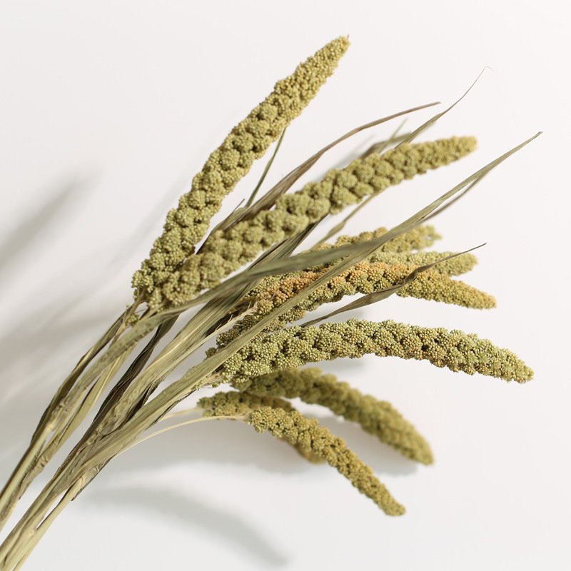 Factory Best Real Natural Dried Flower Preserved Plants Handmade Bleached Millet