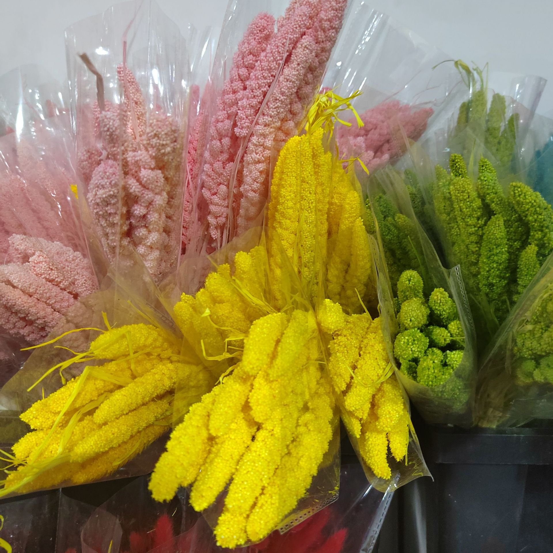 Factory Best Real Natural Dried Flower Preserved Plants Handmade Bleached Millet