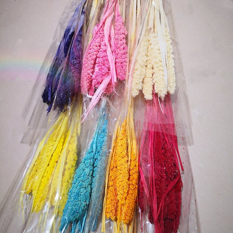 Factory Best Real Natural Dried Flower Preserved Plants Handmade Bleached Millet