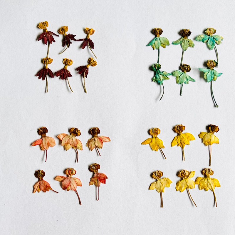 wholesale Dried flowers natural pressed flower plants for resin Art Phone Case Postcard candle making decoration