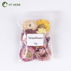 Strawflower