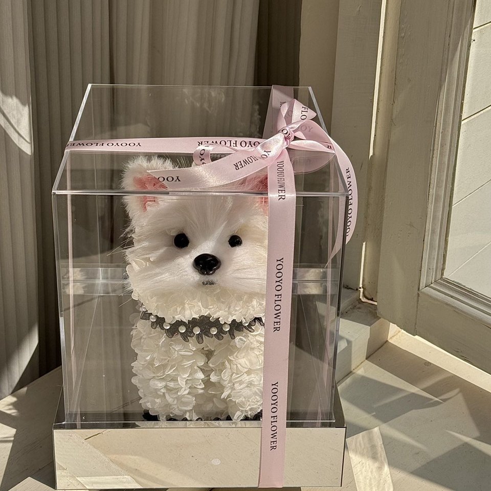 Cut Dog Valentine Day Gift fresh Immortal Everlasting eternity rose acrylic box Forever Dried Preserved Hydrangea Flower