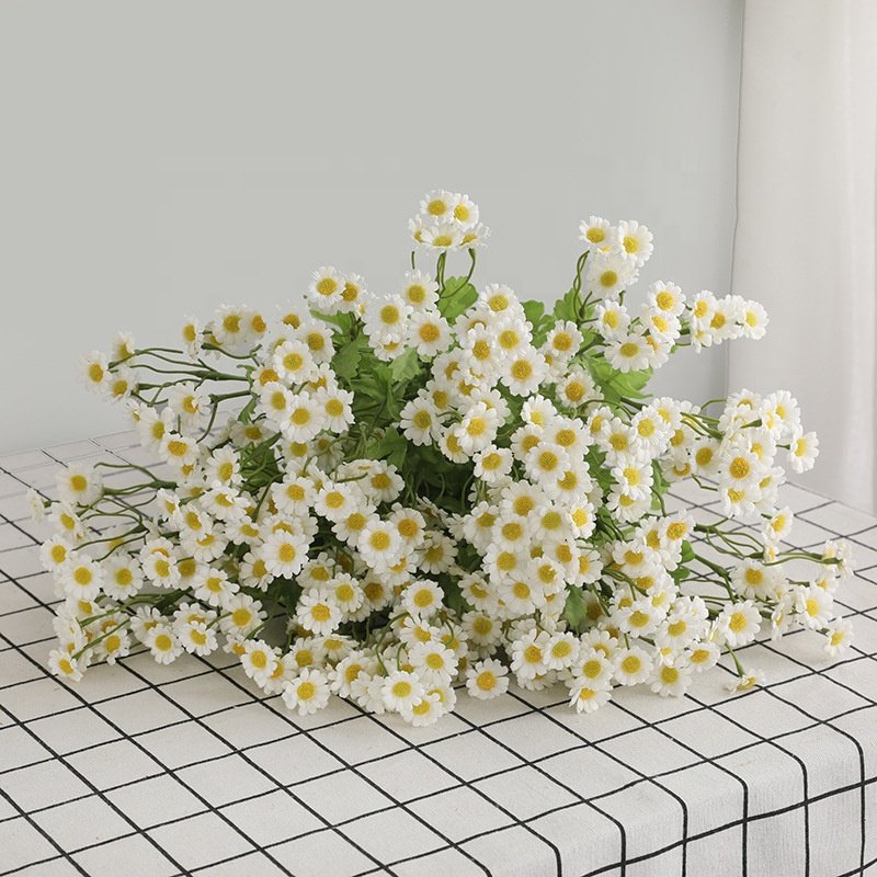 Ins Popular Dried Flowers Natural Daisy Mini Star Flower for decoration