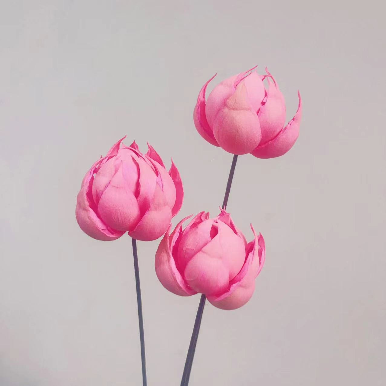 Dried decorative artificial lotus flower, floral handicrafts, hand made by natural materials,home decoration