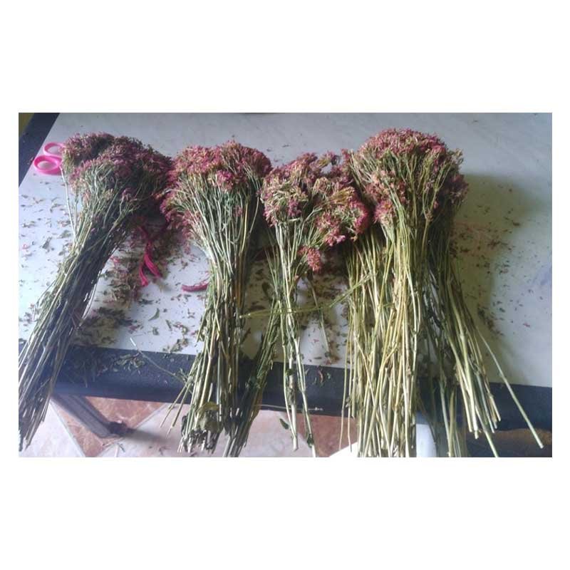 Natural Reed Dried Flowers Brown Centaury flowers bouquet