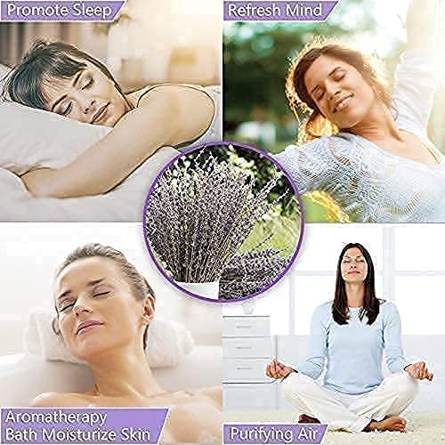 wholesale the 100% ture dried lavender bunch flowers with good smell
