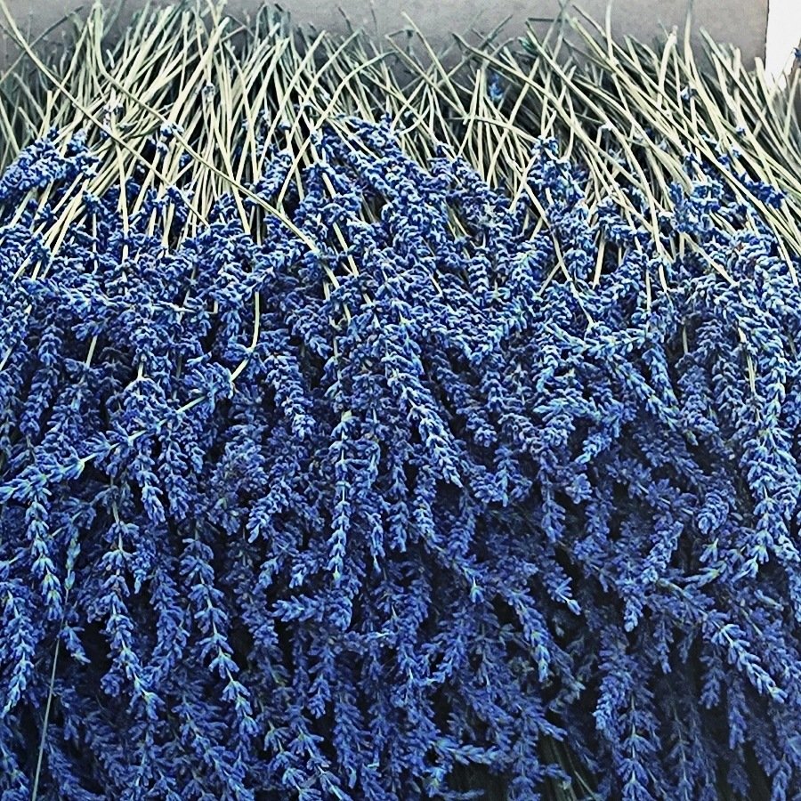 wholesale the 100% ture dried lavender bunch flowers with good smell