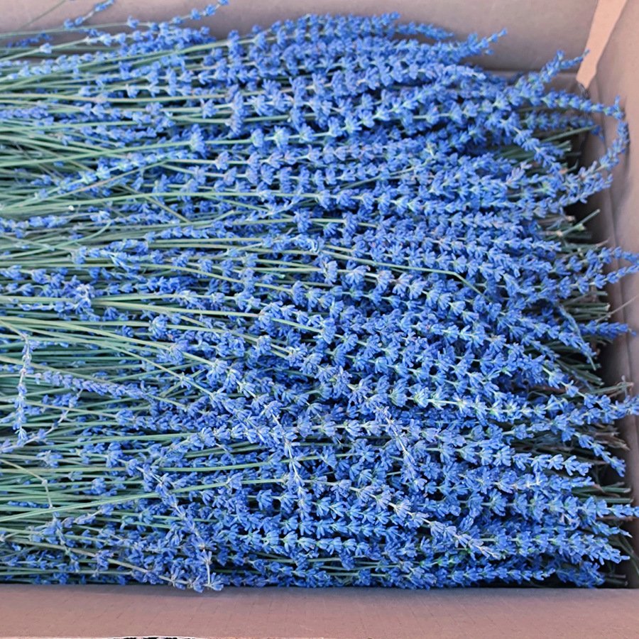wholesale the 100% ture dried lavender bunch flowers with good smell