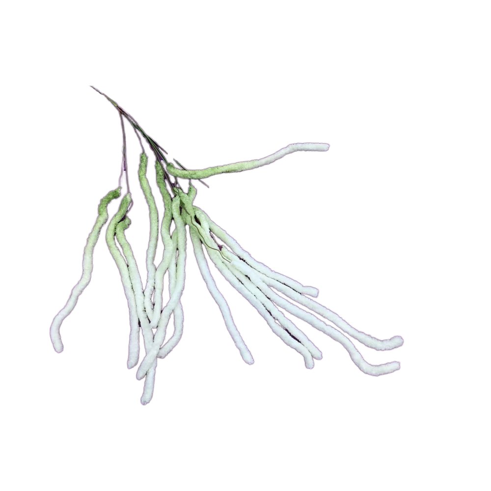Wholesale Factory-Supplied Preserved Hanging Amaranthus for Valentine's Day Flower Arrangements