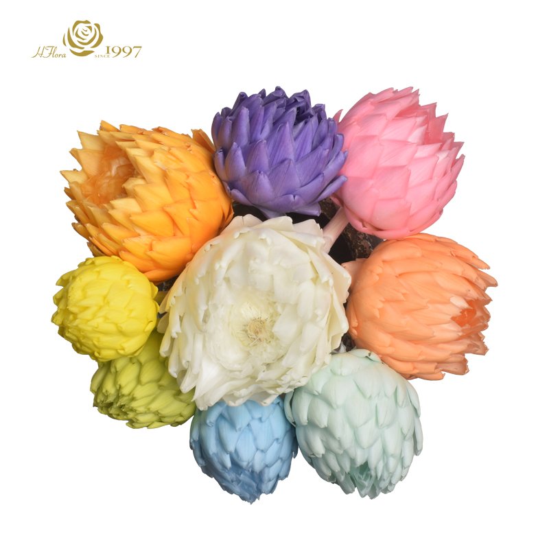 Customized HFloral Dried Eternal Flower Arrangement Preserved Flower Material Small Size Preserved Artichoke