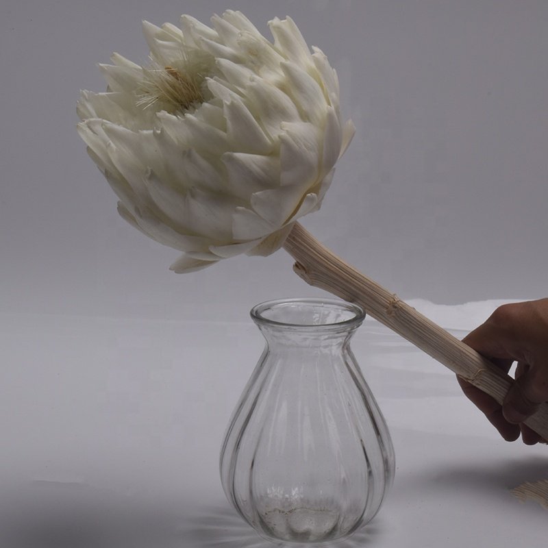 Customized HFloral Dried Eternal Flower Arrangement Preserved Flower Material Small Size Preserved Artichoke