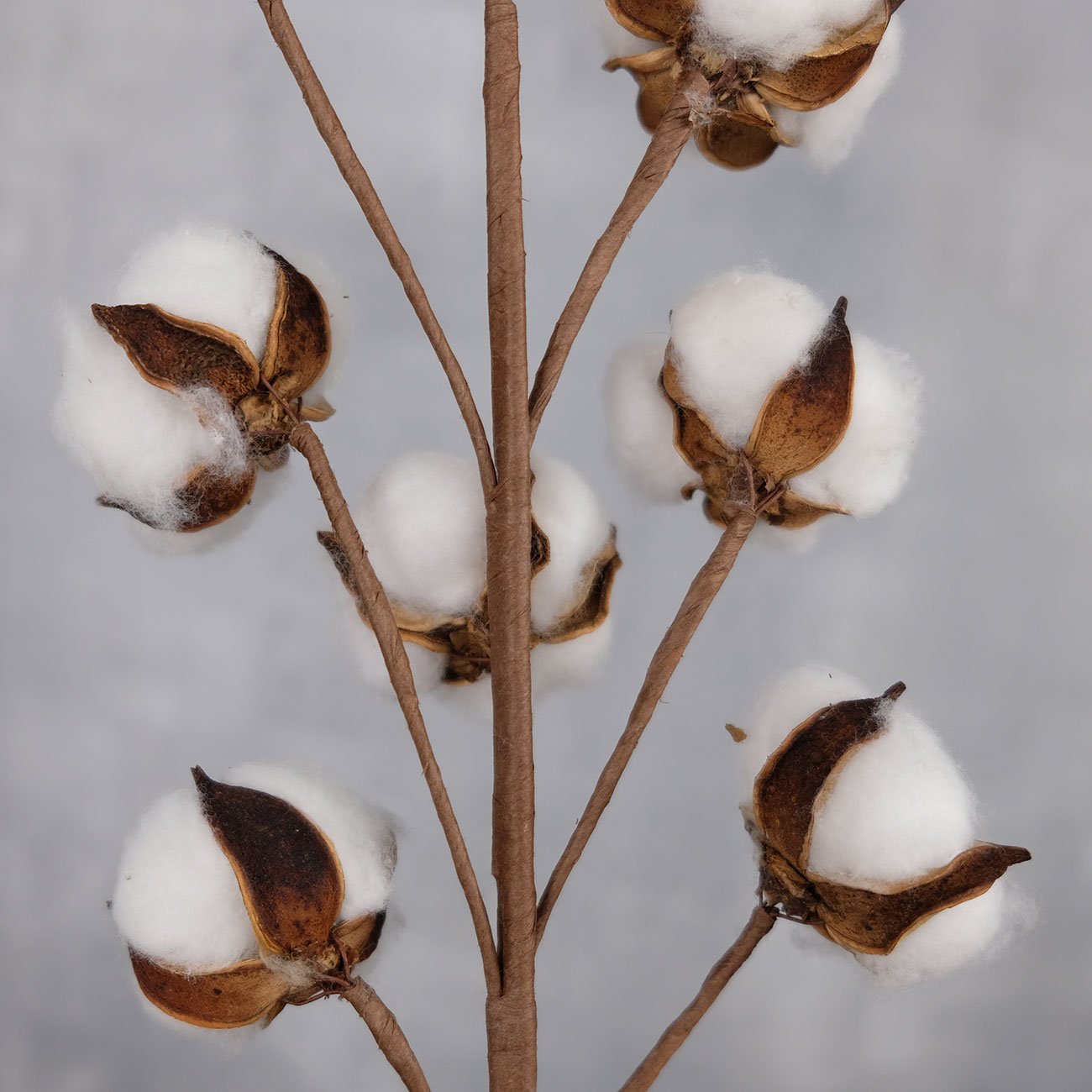 Faux Cotton Flowers Dried Cotton Picks Artificial Cotton Floral Stems Decorations for Home Decor