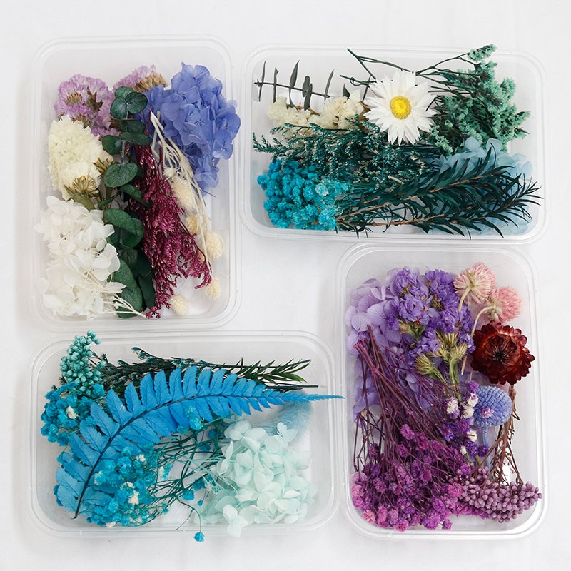 GH-093 wholesale multicolor natural real small mini mixed dry flower mixed bulk dried flowers material package for decoration