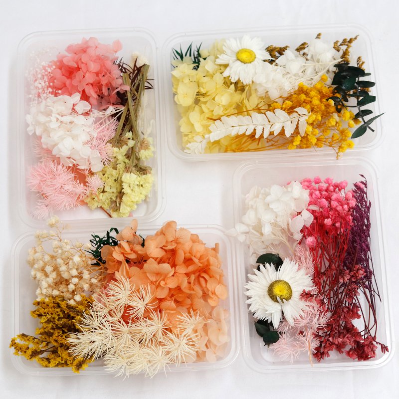 GH-093 wholesale multicolor natural real small mini mixed dry flower mixed bulk dried flowers material package for decoration