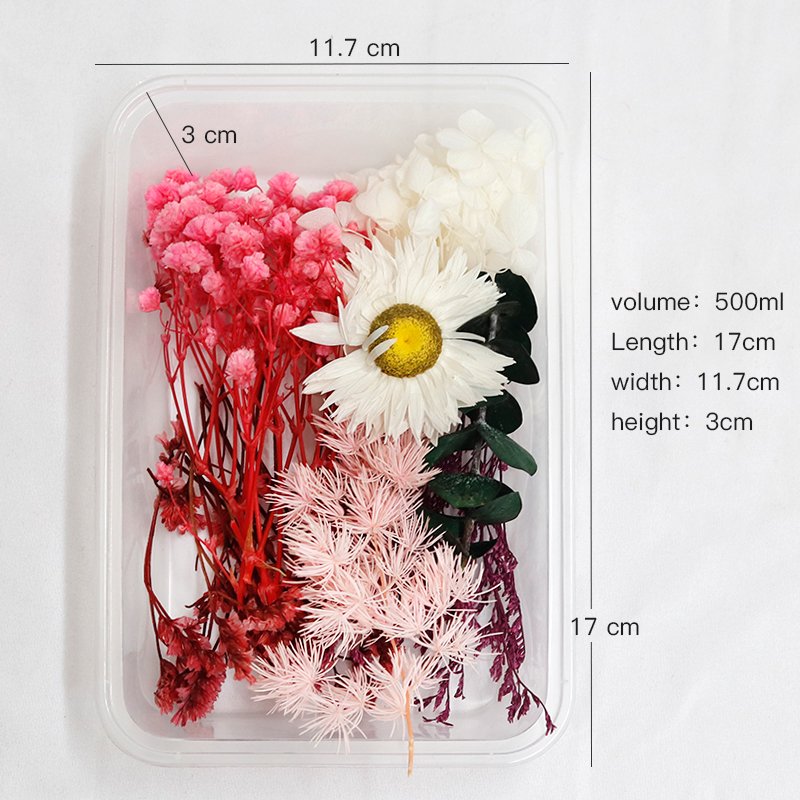 GH-093 wholesale multicolor natural real small mini mixed dry flower mixed bulk dried flowers material package for decoration