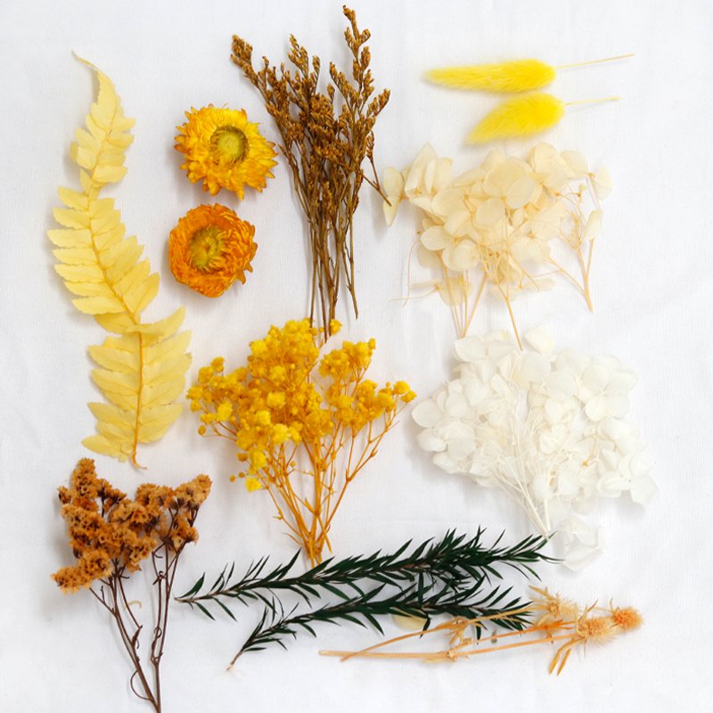 GH-093 wholesale multicolor natural real small mini mixed dry flower mixed bulk dried flowers material package for decoration