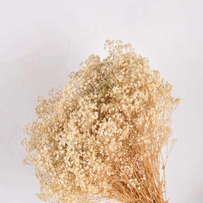 Wholesale Natural Babies Breath Dried Preserved Flowers for Wedding Decorations or Wreaths