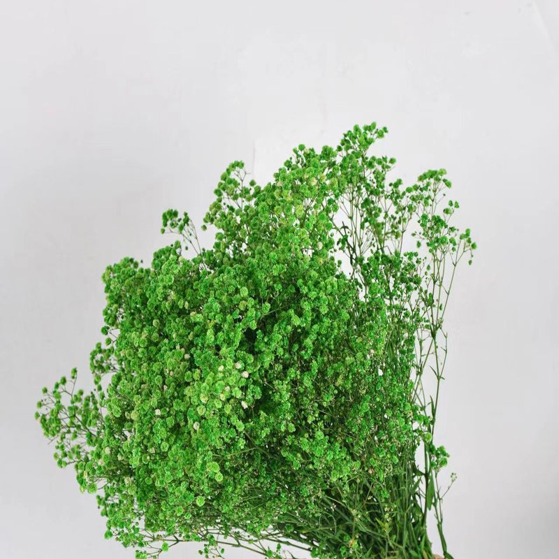 Wholesale Natural Babies Breath Dried Preserved Flowers for Wedding Decorations or Wreaths