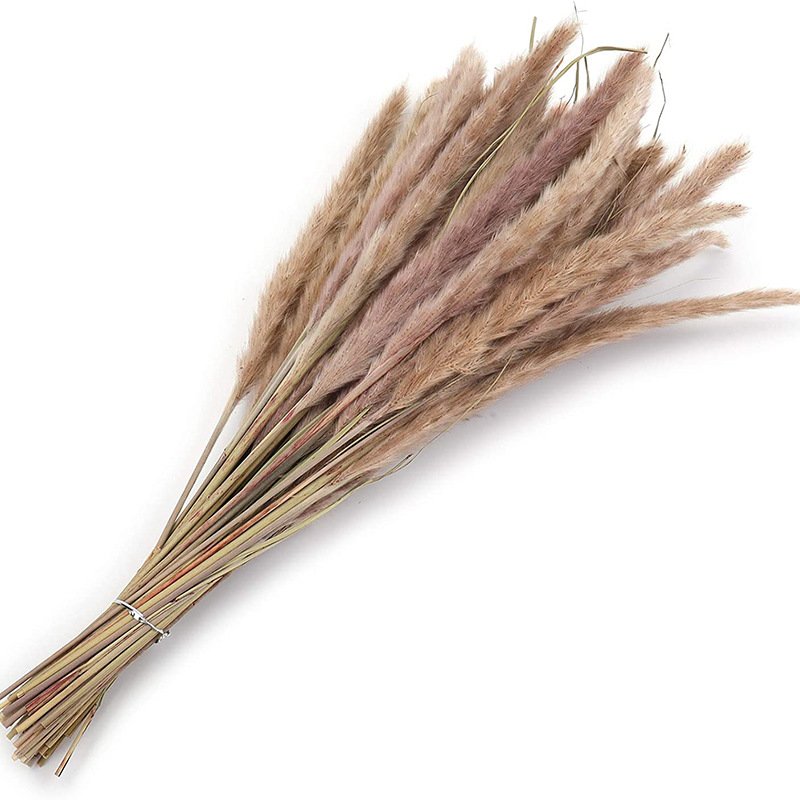 43CM White Color Natural Dried 17inch Tall Pampas Grass Decor Fluffy Dried Flowers