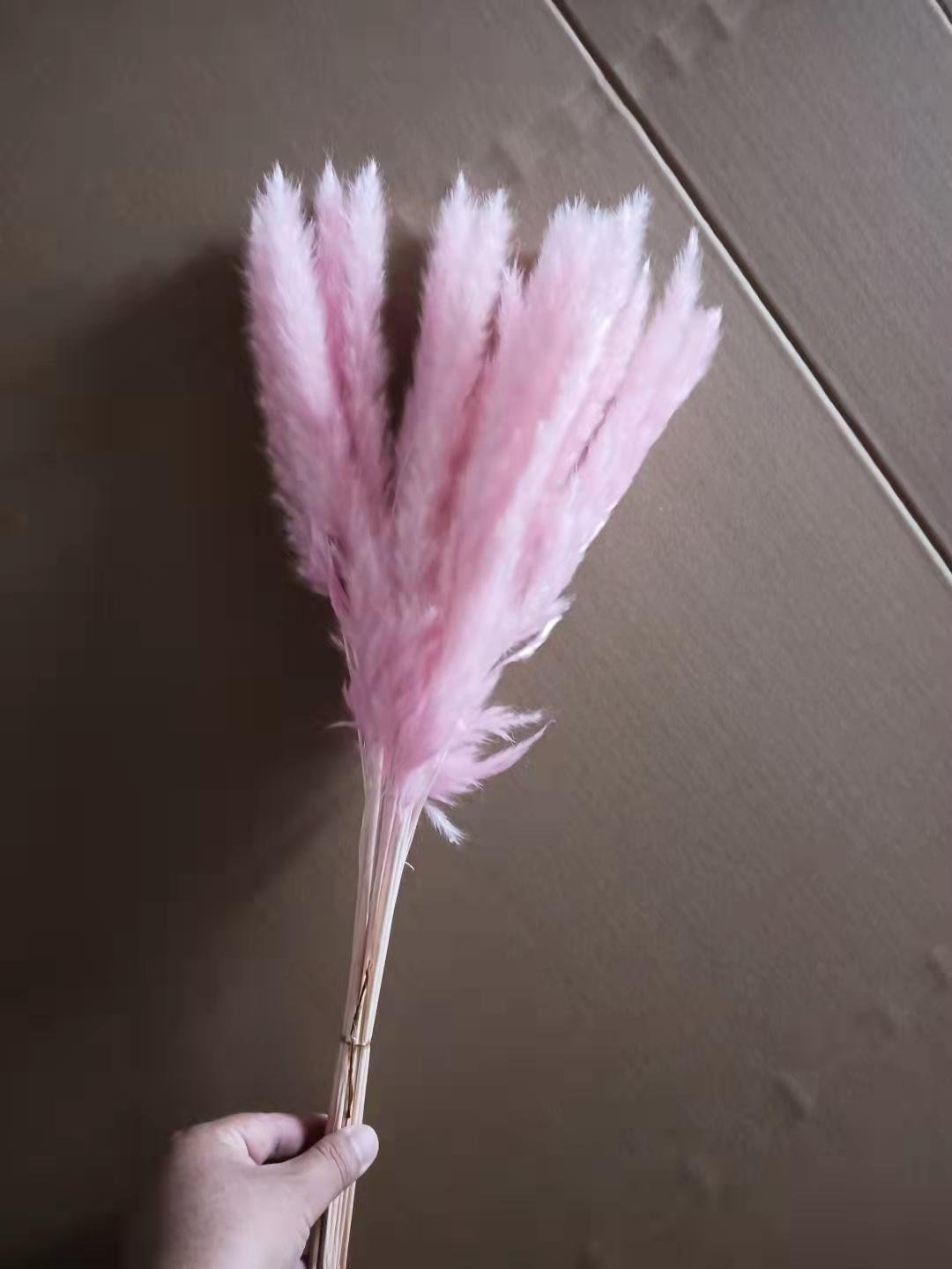 43CM White Color Natural Dried 17inch Tall Pampas Grass Decor Fluffy Dried Flowers