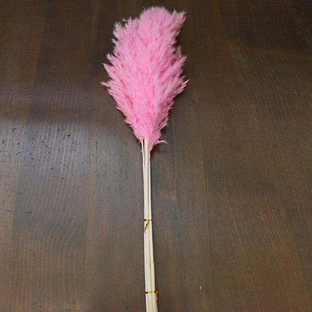 natural short pampas grass dried pampas grass arrangement for wedding home decor