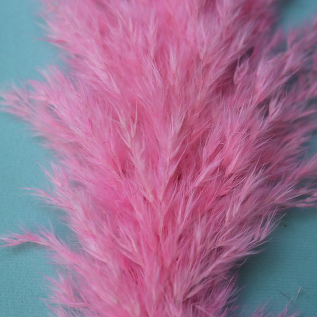 natural short pampas grass dried pampas grass arrangement for wedding home decor