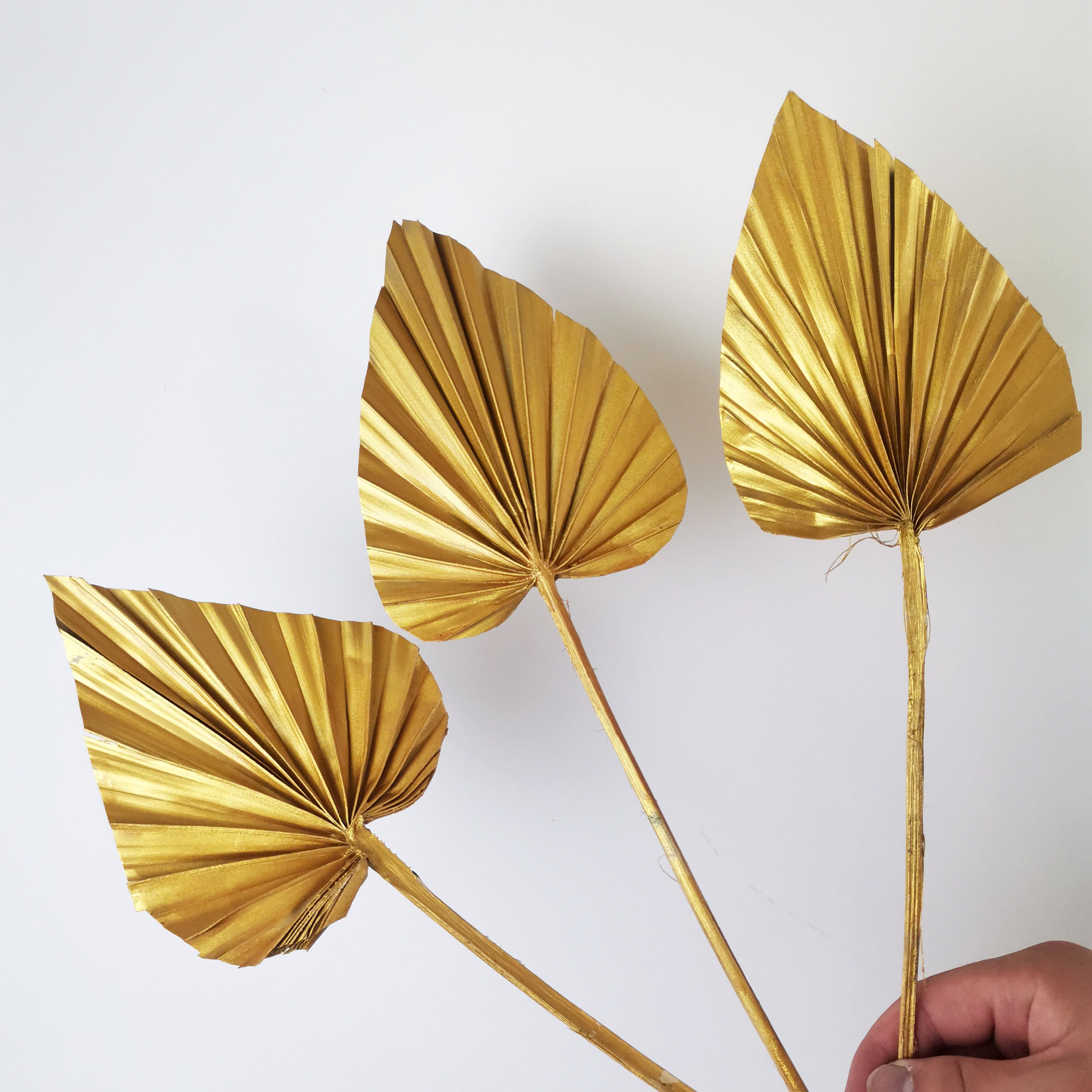 2024 most popular dried palm leaves palm leaves palm leaf Decorative Flowers for Home Decoration