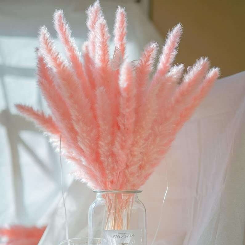 BOHO Colorful Natural Dried Flower Pampas Grass Small Reed Dried Flower for Wedding Decoration