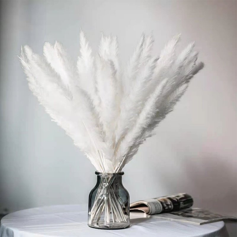 BOHO Colorful Natural Dried Flower Pampas Grass Small Reed Dried Flower for Wedding Decoration