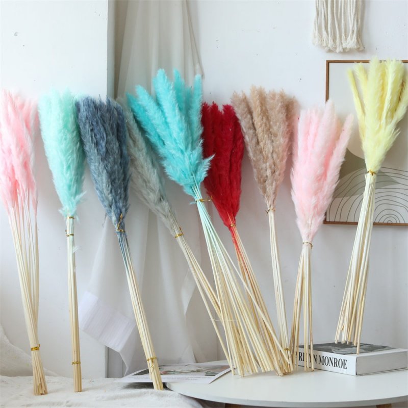 BOHO Colorful Natural Dried Flower Pampas Grass Small Reed Dried Flower for Wedding Decoration