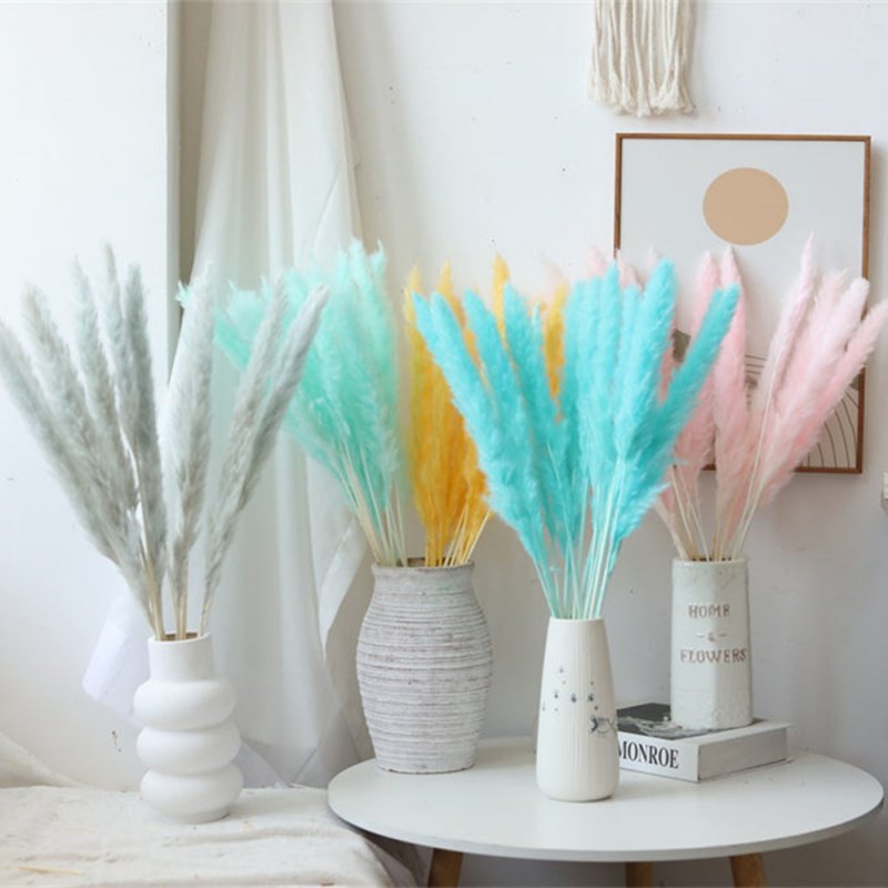 BOHO Colorful Natural Dried Flower Pampas Grass Small Reed Dried Flower for Wedding Decoration