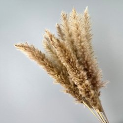 natural
