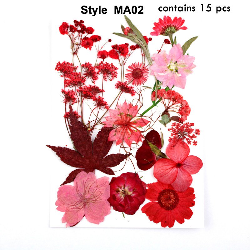 J-HE MA Series 100% Natural Dried Pressed Flowers For Resin Greeting Cards DIY Decoration Real Dry Pressed Flower