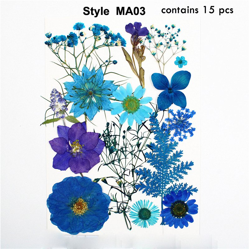 J-HE MA Series 100% Natural Dried Pressed Flowers For Resin Greeting Cards DIY Decoration Real Dry Pressed Flower