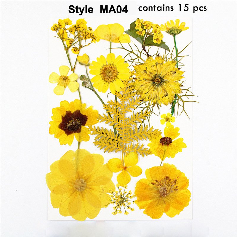 J-HE MA Series 100% Natural Dried Pressed Flowers For Resin Greeting Cards DIY Decoration Real Dry Pressed Flower