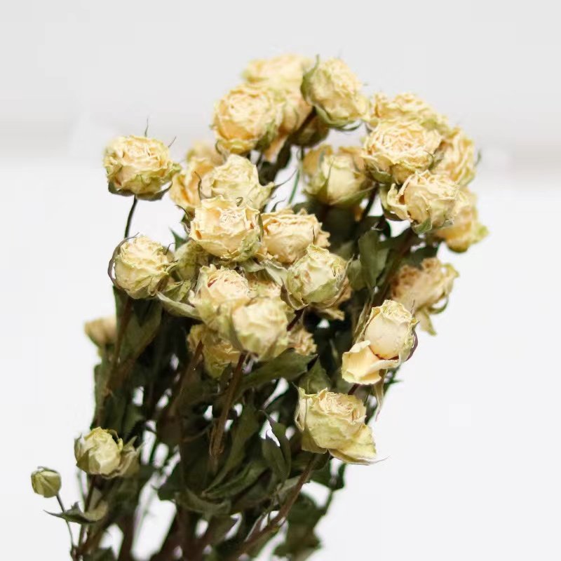 Wholesale A Grade Flower Dry Rose Flowers Bouquet Natural Dried Roses For Home/house Decoration Wedding