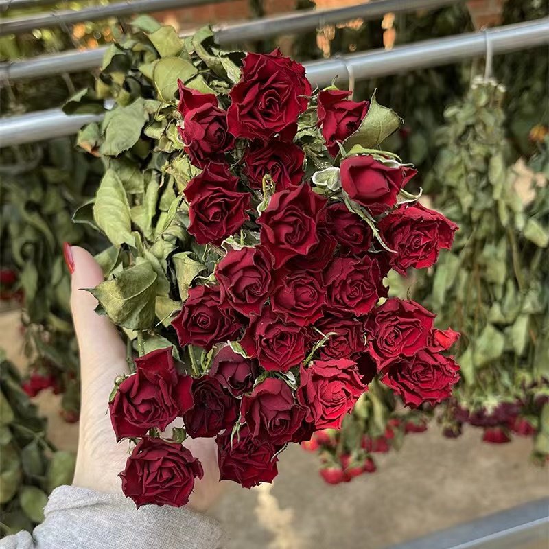 Wholesale A Grade Flower Dry Rose Flowers Bouquet Natural Dried Roses For Home/house Decoration Wedding