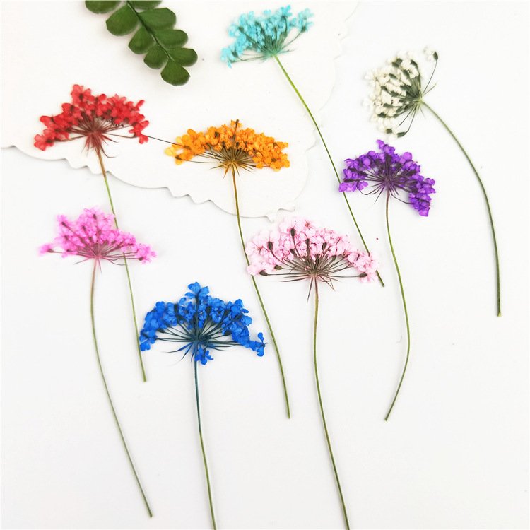 Dry Flower Preserved Wholesale Home Decoration Handmade Preserved Flower