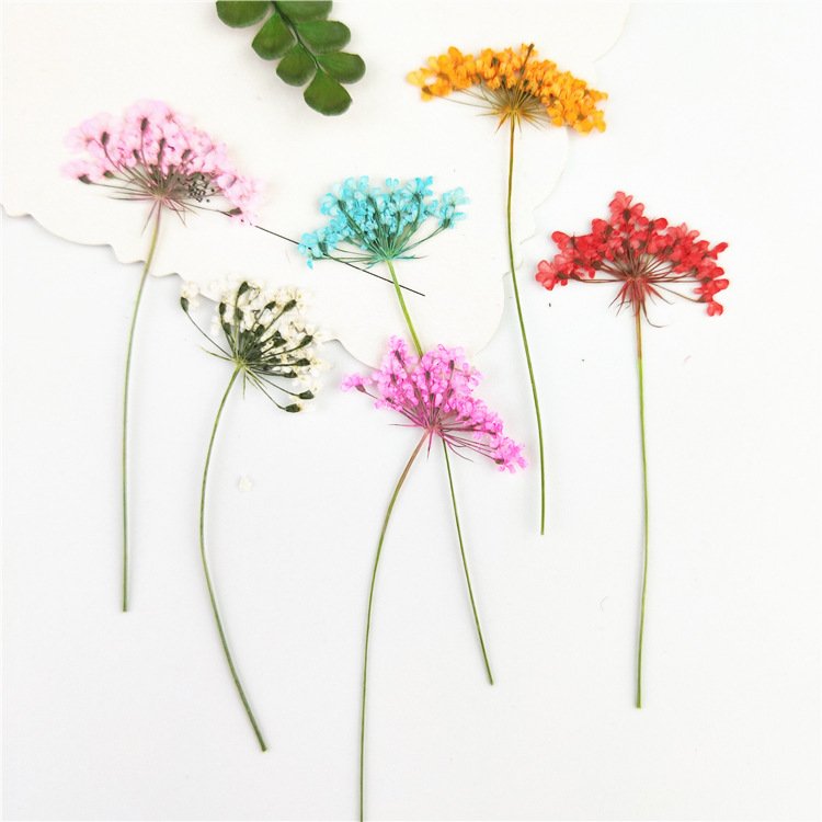 Dry Flower Preserved Wholesale Home Decoration Handmade Preserved Flower