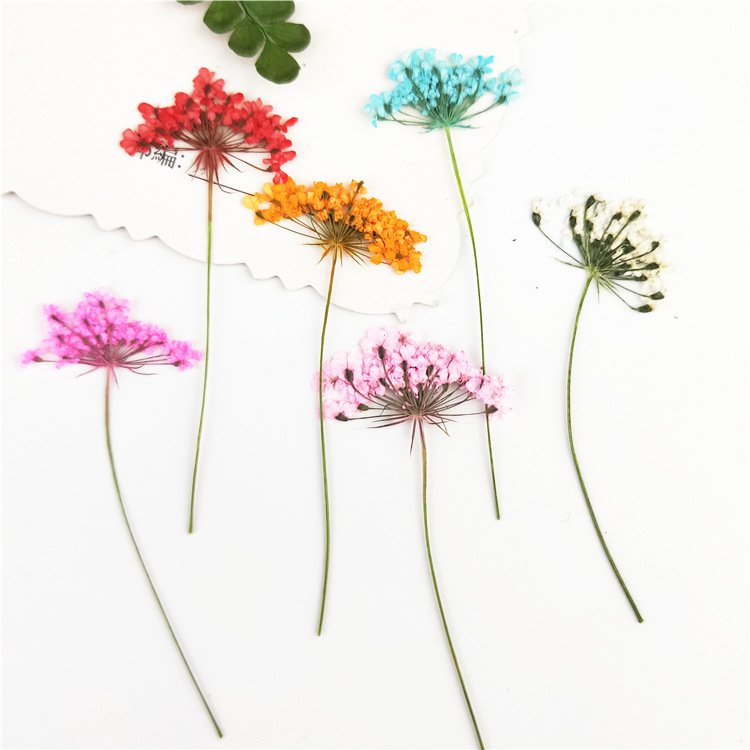 Dry Flower Preserved Wholesale Home Decoration Handmade Preserved Flower