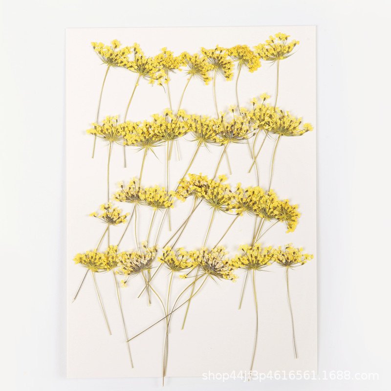 Dry Flower Preserved Wholesale Home Decoration Handmade Preserved Flower