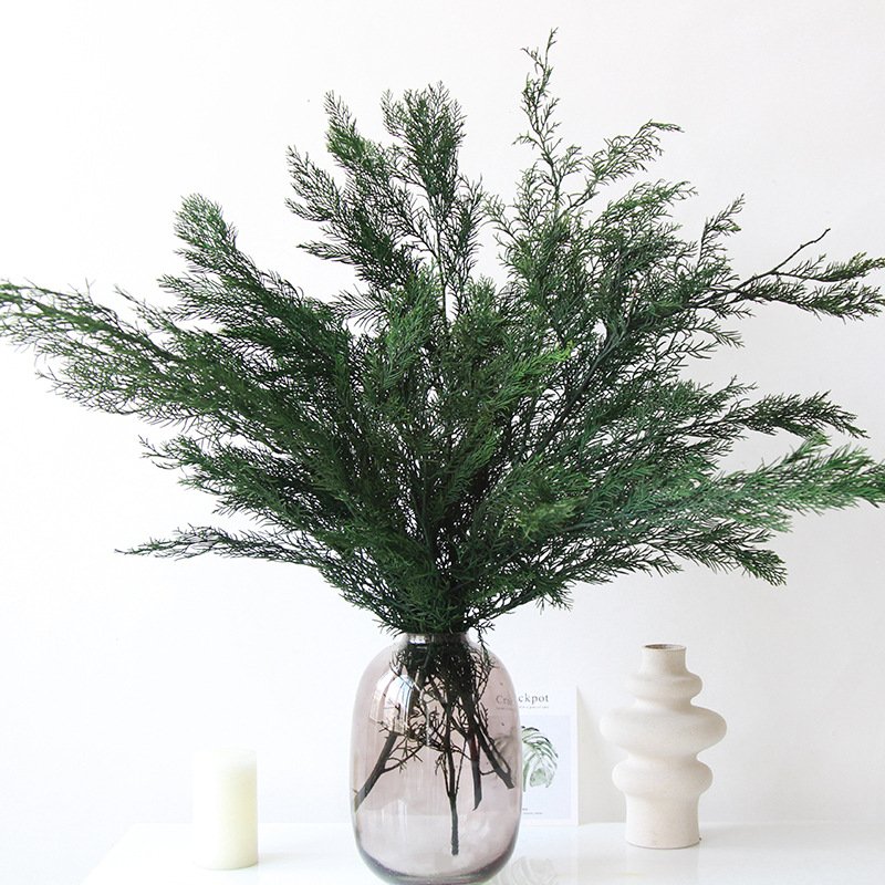 Preserved natural dried green Cypress Pine branch Leaves,,decoration,flower arrangement,Christmas Themed Crafts materials