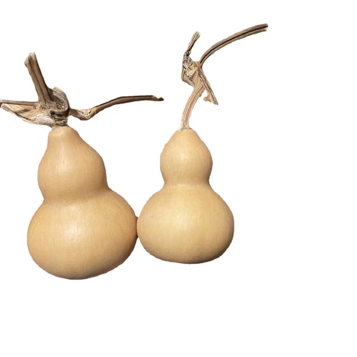 Wholesale dried flower hand tiwsted gourde enfant crafts for home decoration