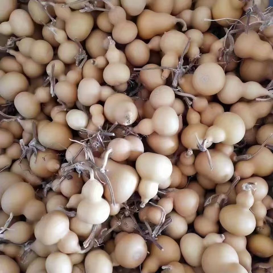 Wholesale dried flower hand tiwsted gourde enfant crafts for home decoration