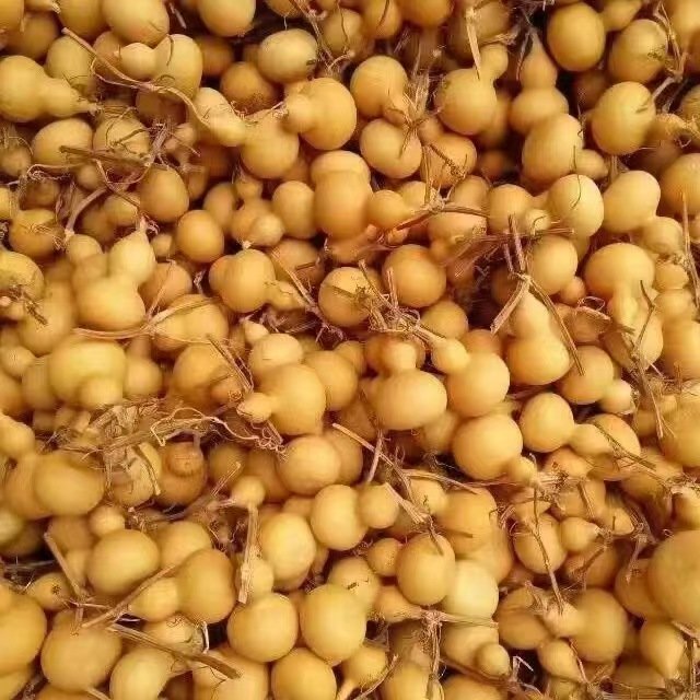 Wholesale dried flower hand tiwsted gourde enfant crafts for home decoration