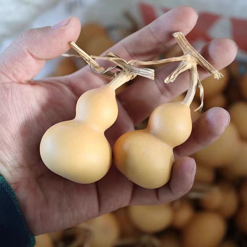 Wholesale dried flower hand tiwsted gourde enfant crafts for home decoration