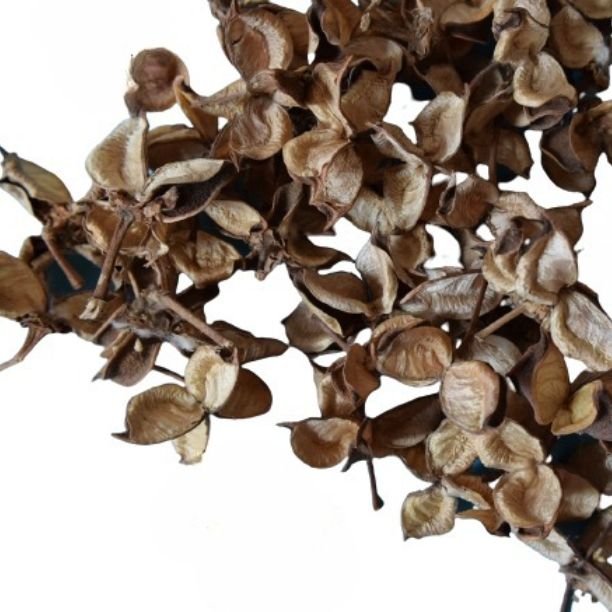 Wedding Celebration Usage Party Decor Natural Cotton Petals Fresh Unscented Material For Potpourri