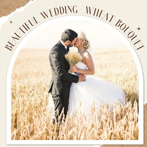 600 Stems Dried Wheat Sheaves Natural Wheat Stalks Bundle Fall Arrangement Artificial Flowers Arrangement Farmhouse for DIY Wedd
