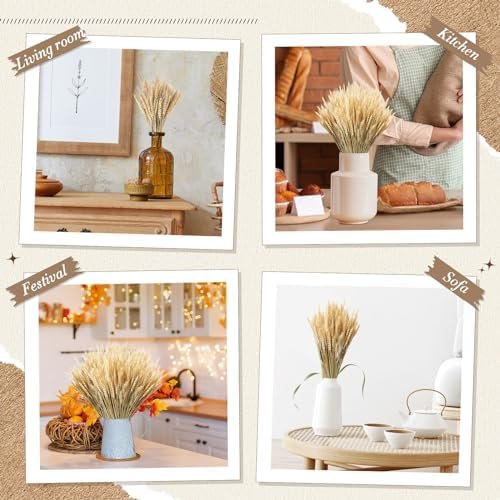 600 Stems Dried Wheat Sheaves Natural Wheat Stalks Bundle Fall Arrangement Artificial Flowers Arrangement Farmhouse for DIY Wedd