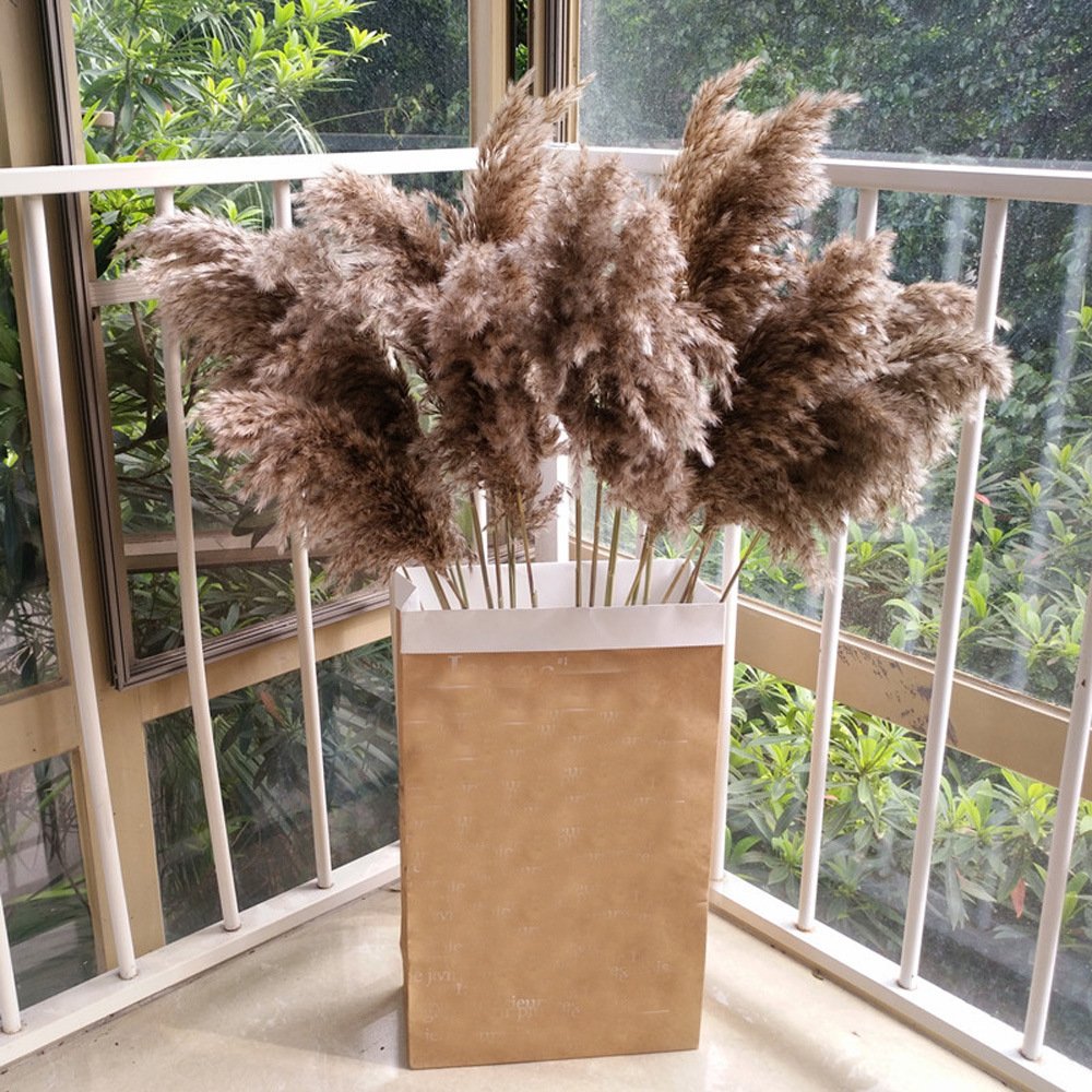 G4 Boho Decor Party wedding Decor Gift Natural Fluffy Brown Pampas Grass Dry Small Pampas Fall Decorations Bulk Pampa Grass
